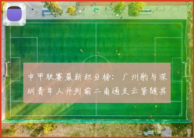 中甲联赛最新积分榜：广州豹与深圳青年人并列前二南通支云紧随其后